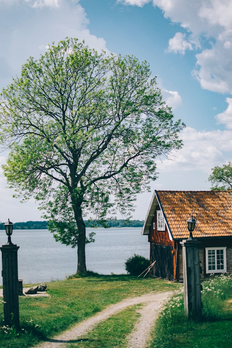 cabin near tree and lake during day