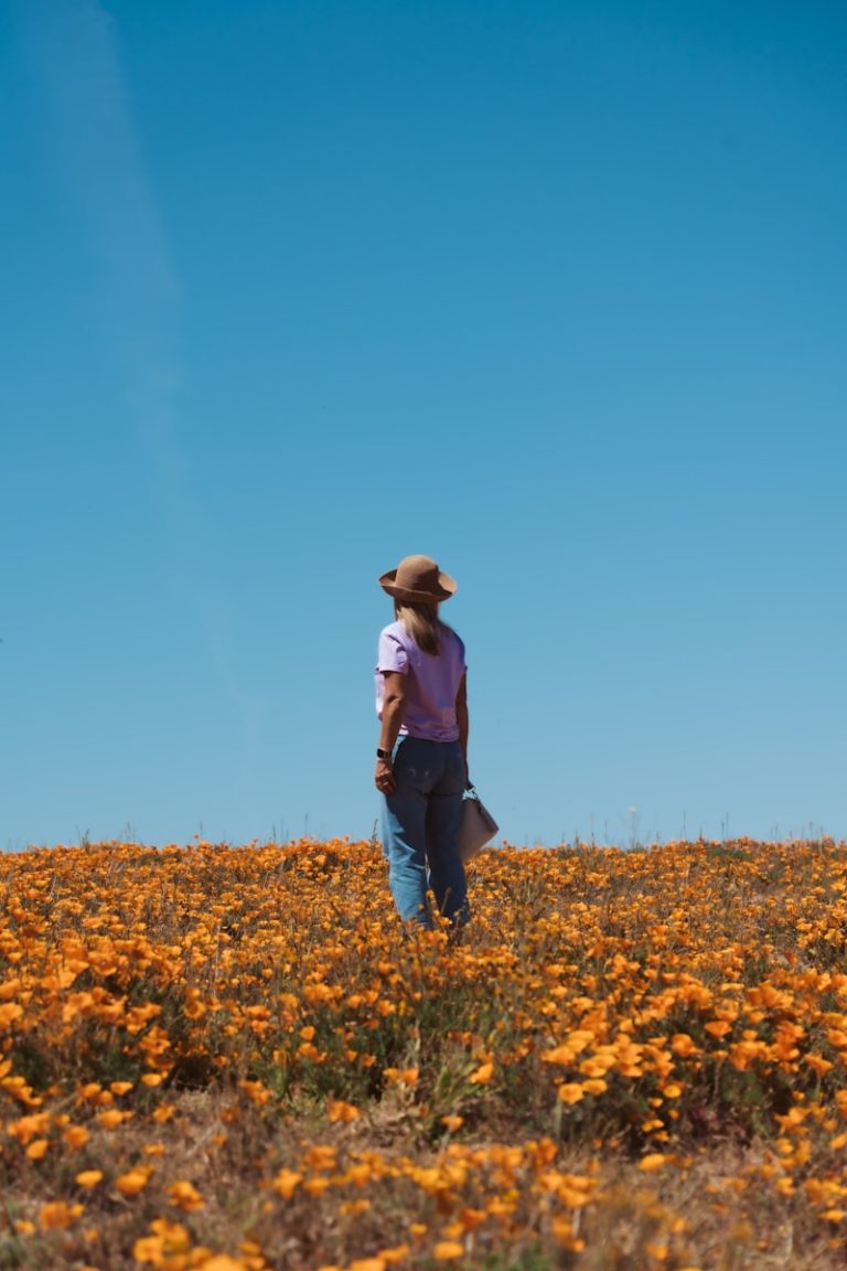 a person standing in a field of flowers